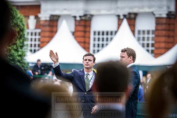 Goffs London Sale 2016-290