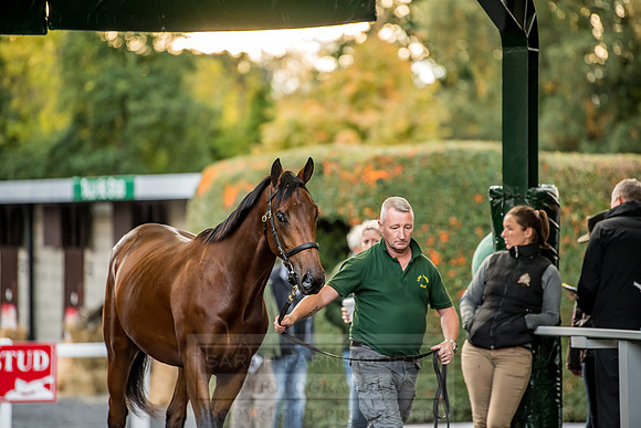 Goffs Orby 2018 Day 1-385