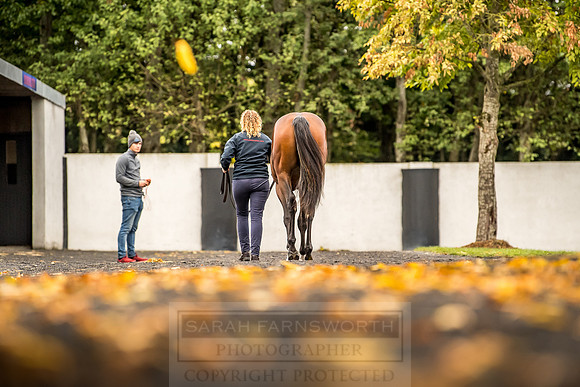 Goffs Orby 2018 Day 1-116