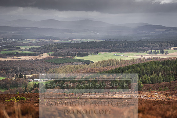 Purdey AW21 Recce Day-34