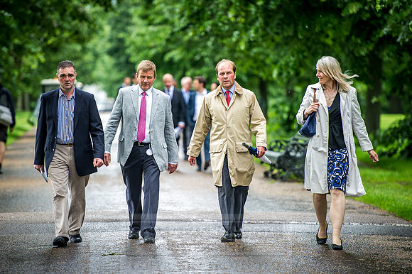 Goffs London Sale 2016-44