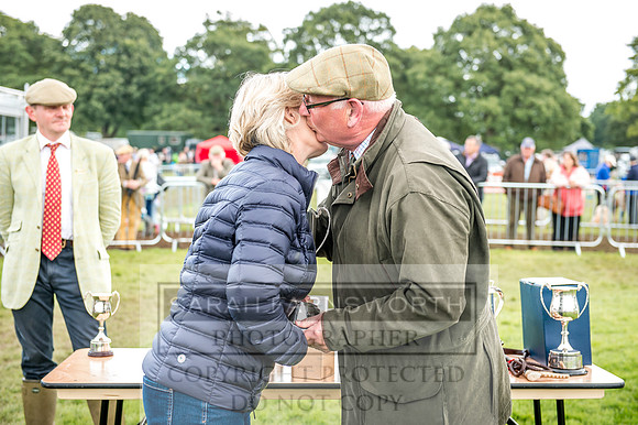 Lowther Hound Show 2017-158