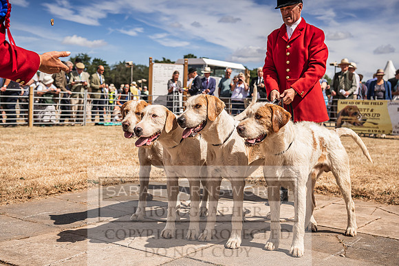 Honiton Hound Show 2022-112