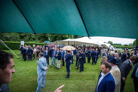 Goffs London Sale 2016-402
