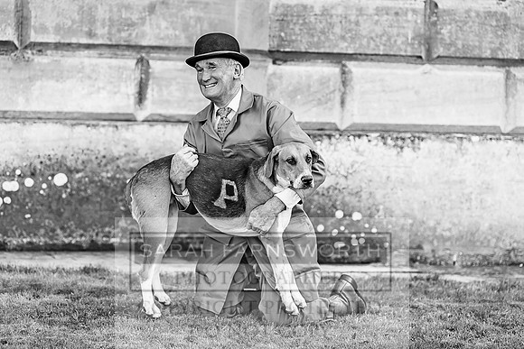 Baron Von Pfetten Puppy Show 02.09.18-86