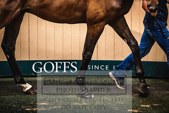 Goffs Land Rover Sale 2022-620