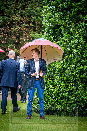 Goffs London Sale 2016-248