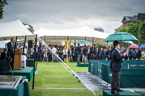Goffs London Sale 2016-319