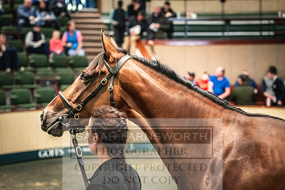 Goffs Land Rover Sale 2022-661