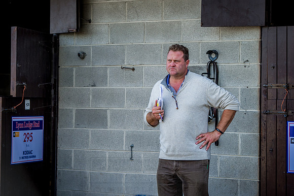 Goffs Orby 2015 -307