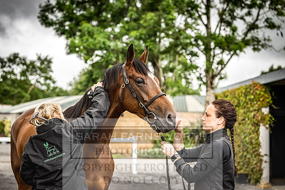 Goffs Land Rover Sale 2022-530
