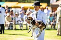 Rydal Hound Show 2022-2
