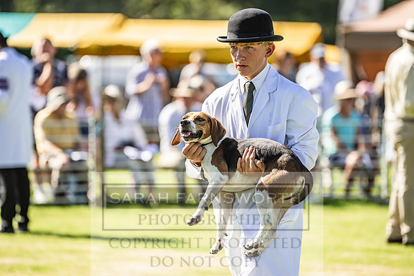 Rydal Hound Show 2022-2