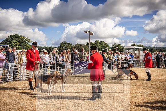 Honiton Hound Show 2022-24