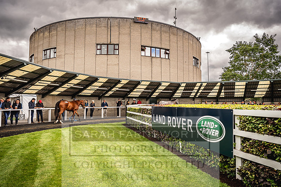 Goffs Land Rover Sale 2022-273