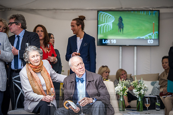 Goffs London Sale 2016-317