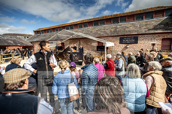 GUK Yorton Sale 2019-373