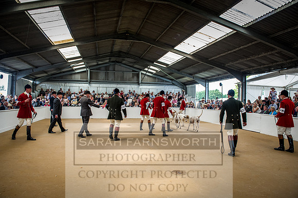 PFoH 2016-394