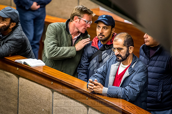 Goffs Orby 2018 Day 1-250