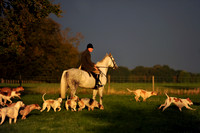 Duke of Beaufort's - 12.09.12 - Kennels
