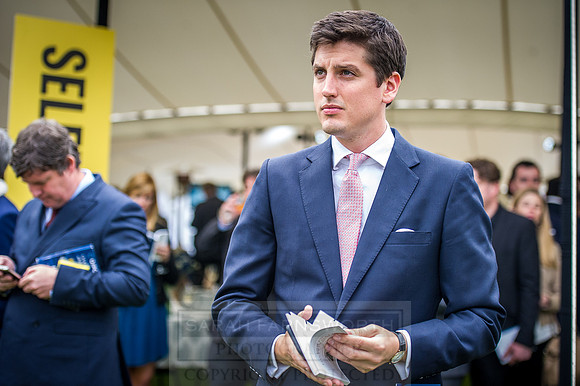 Goffs London Sale 2016-411