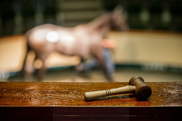 Goffs Orby 2015 -566