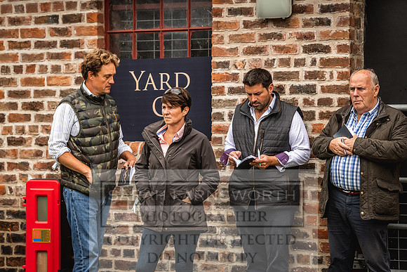 Goffs Yorton Sale 2022-130
