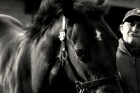 Goffs Orby14 CF1 062 bw