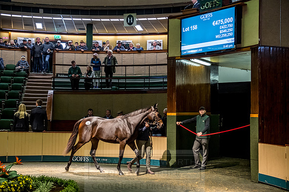 Goffs Orby 2018 Day 1-370