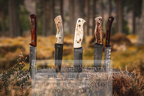 Purdey AW21-437