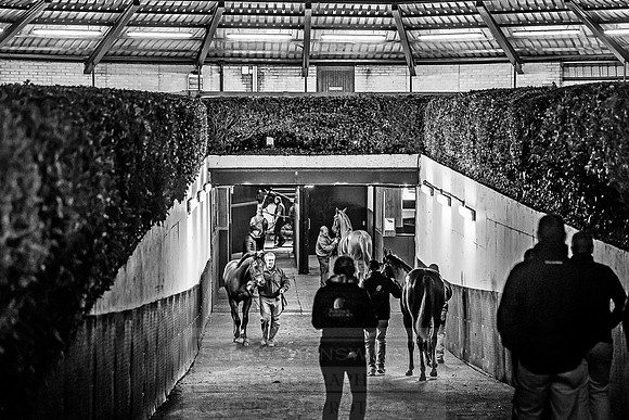 Goffs Orby 2018 Day 1-427