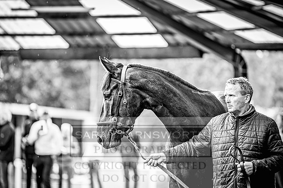 Goffs Land Rover Sale 2022-423