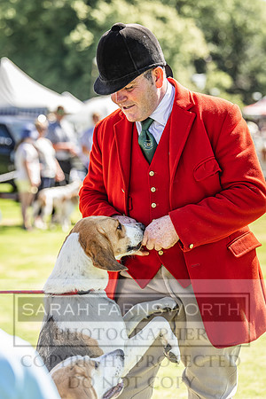 Rydal Hound Show 2022-47