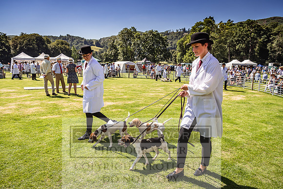 Rydal Hound Show 2022-117