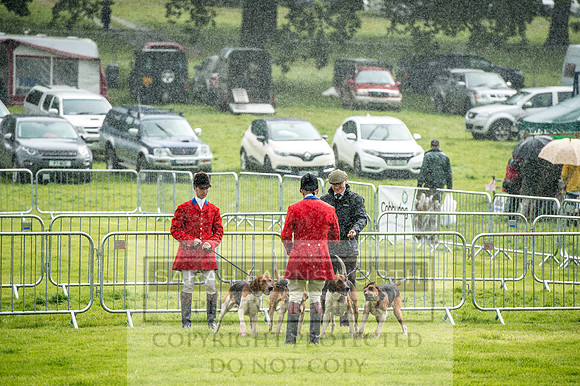 Lowther Hound Show 2017-2