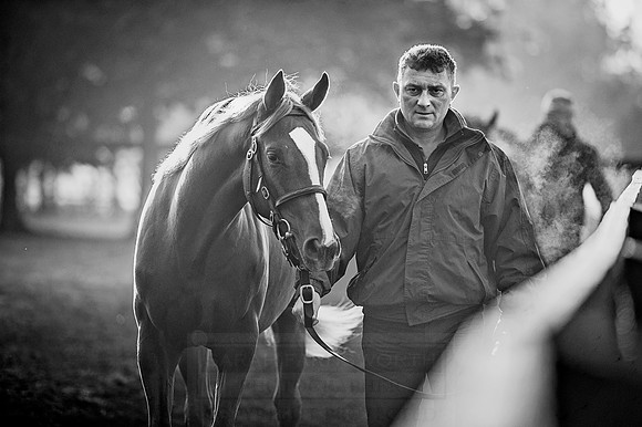 Goffs Orby 2015 -476 bw