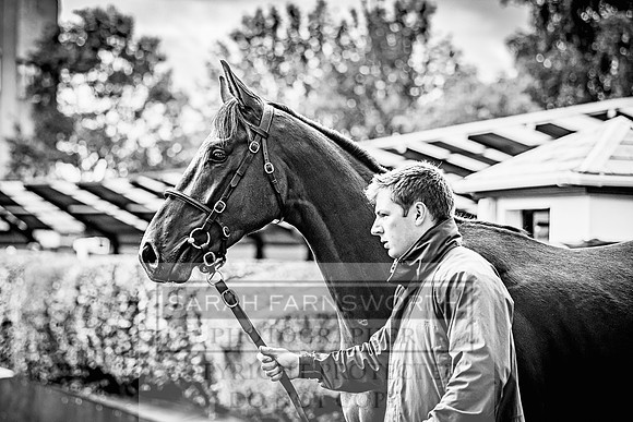 Goffs Land Rover Sale 2022-585