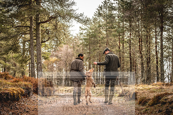 Purdey AW21-161