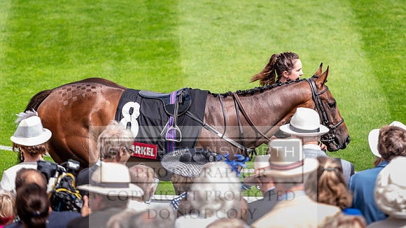 GUK Goodwood Sale 2019-3