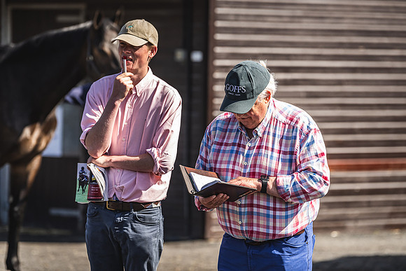 Goffs UK Spring Sale 22 Day 2-23