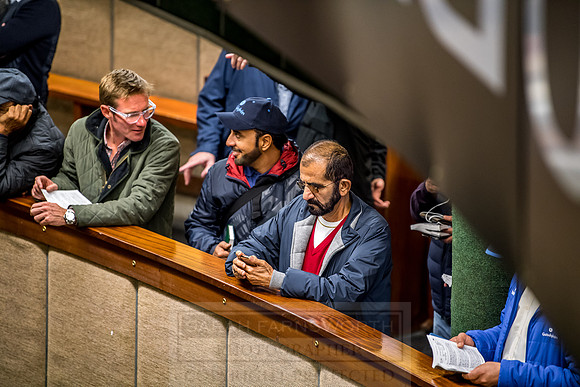 Goffs Orby 2018 Day 1-249