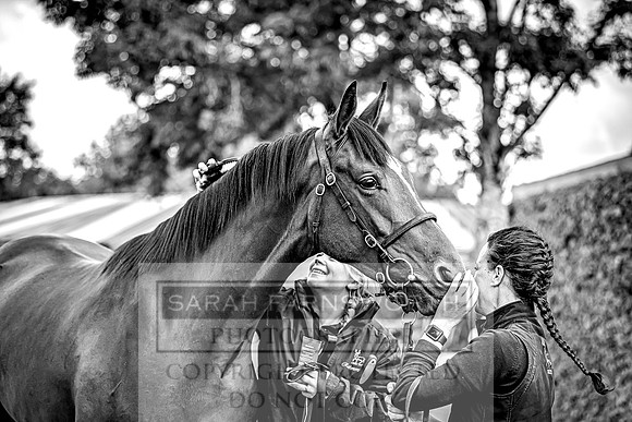 Goffs Land Rover Sale 2022-536