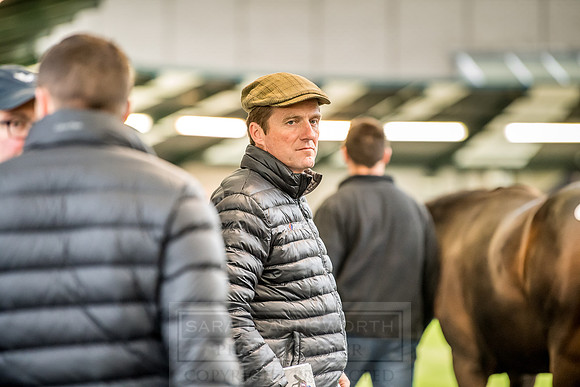 Goffs Orby 2018 Day 2-231