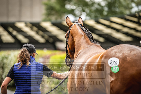 Goffs Land Rover Sale 2022-581