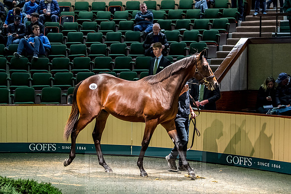 Goffs Orby 2018 Day 1-352