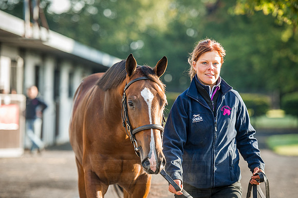 Goffs Orby 2015 -179