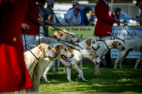Ardingly Foxhounds 2015-12