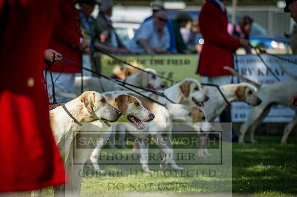 Ardingly Foxhounds 2015-12