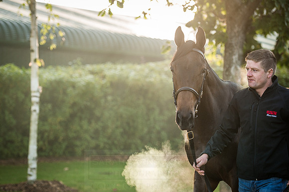 Goffs Orby 2015 -150