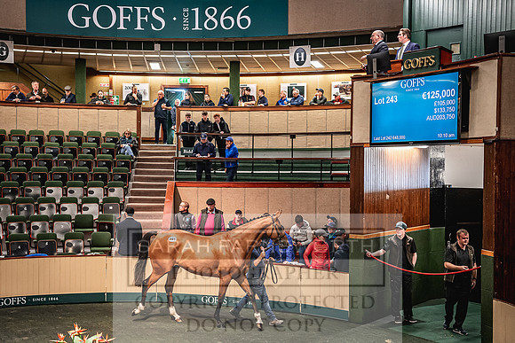 Goffs Land Rover Sale 2022-565